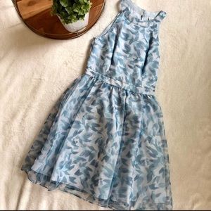 Lauren Conrad Cinderella dress